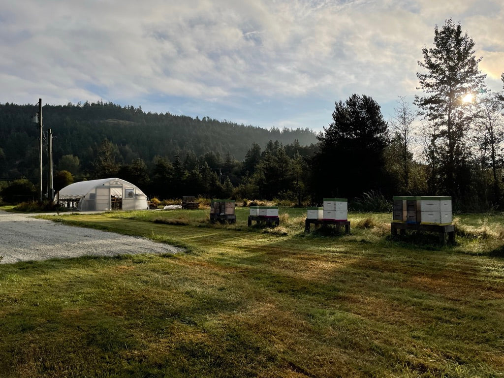 Beehives and greenhouse at Glenraven Farm, set along the meadow in the Burgoyne Valley on Salt Spring Island